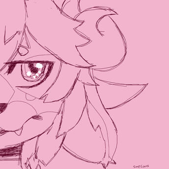 Sketch